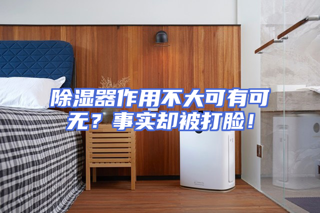 除湿器作用不大可有可无？事实却被打脸！