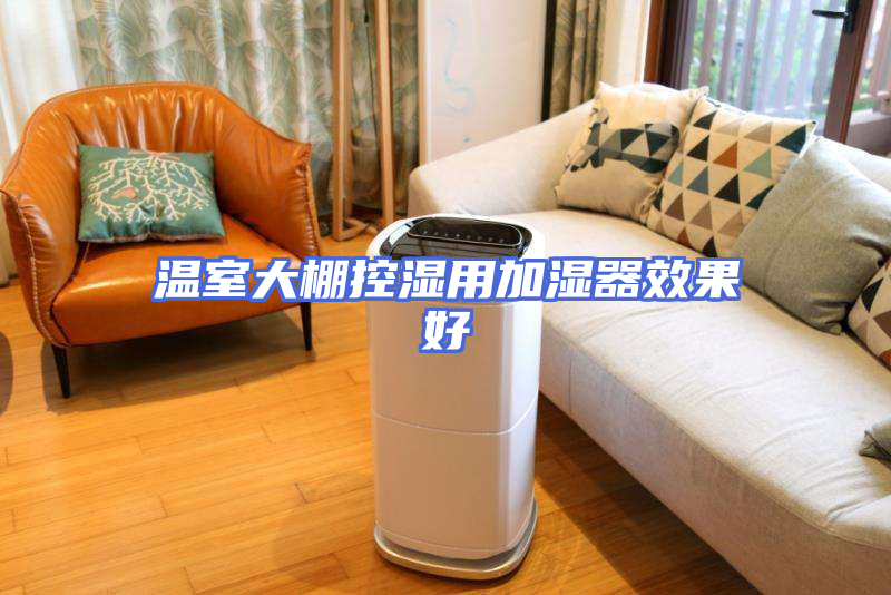 温室大棚控湿用加湿器效果好