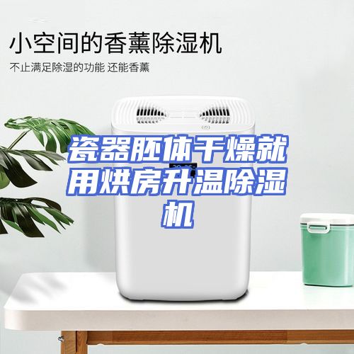 瓷器胚体干燥就用烘房升温除湿机