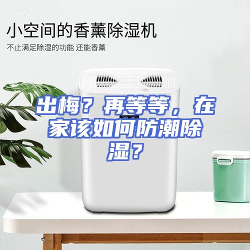 出梅？再等等，在家该如何防潮除湿？