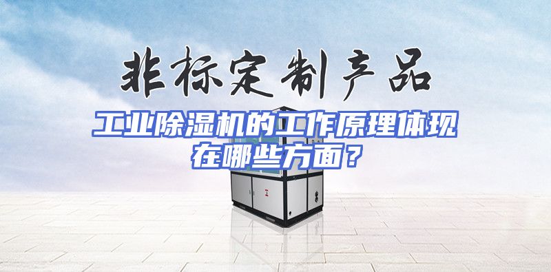 工业除湿机的工作原理体现在哪些方面？