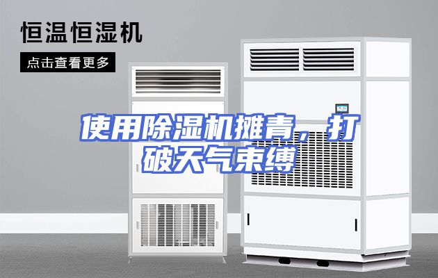 使用除湿机摊青，打破天气束缚