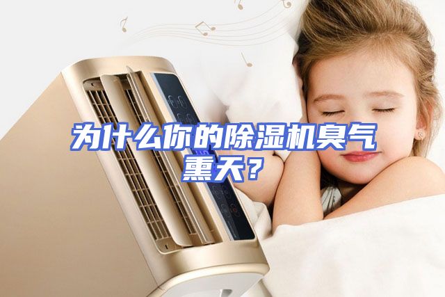 为什么你的除湿机臭气熏天？