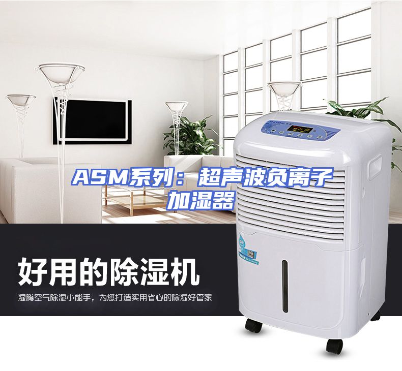 ASM系列：超声波负离子加湿器