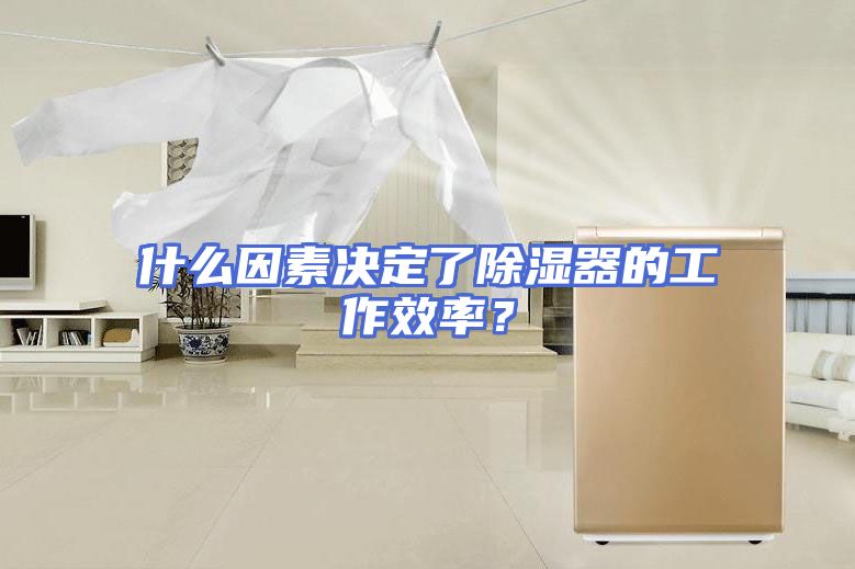 什么因素决定了除湿器的工作效率？