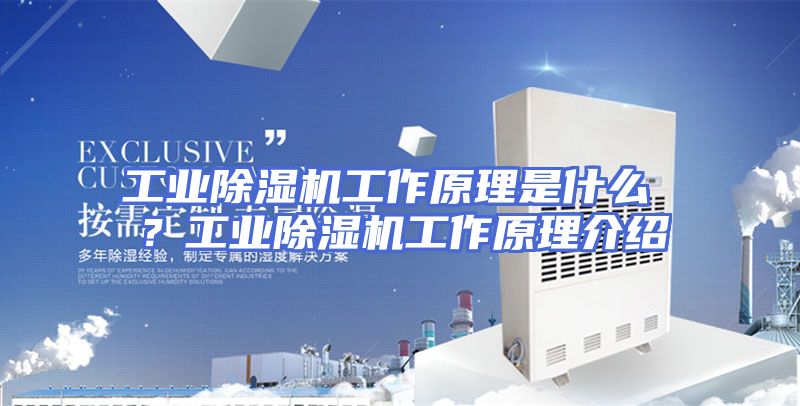 工业除湿机工作原理是什么 ？工业除湿机工作原理介绍