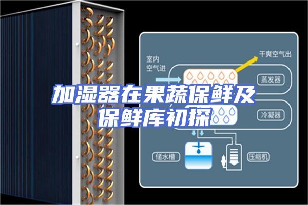加湿器在果蔬保鲜及保鲜库初探
