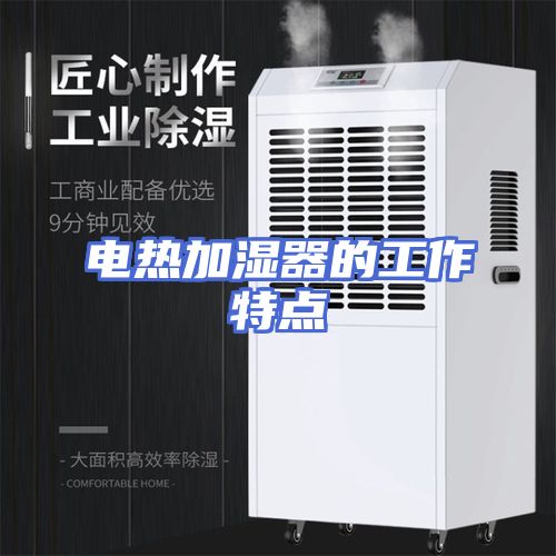 电热加湿器的工作特点