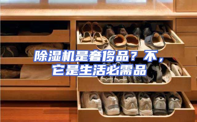 除湿机是奢侈品？不，它是生活必需品