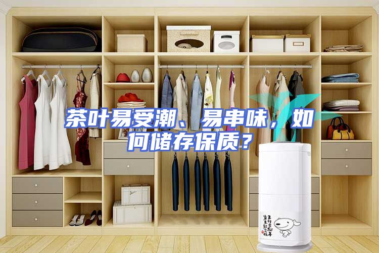 茶叶易受潮、易串味，如何储存保质？