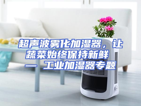 超声波雾化加湿器，让蔬菜始终保持新鲜 — 工业加湿器专题