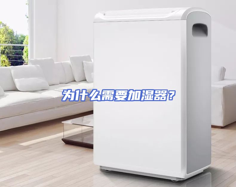 为什么需要加湿器？