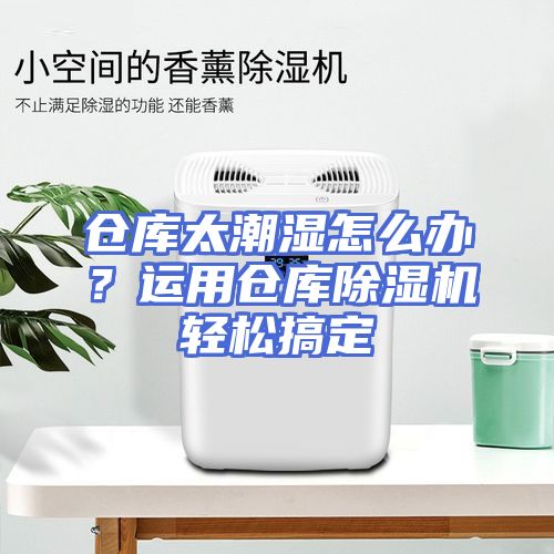 仓库太潮湿怎么办？运用仓库除湿机轻松搞定