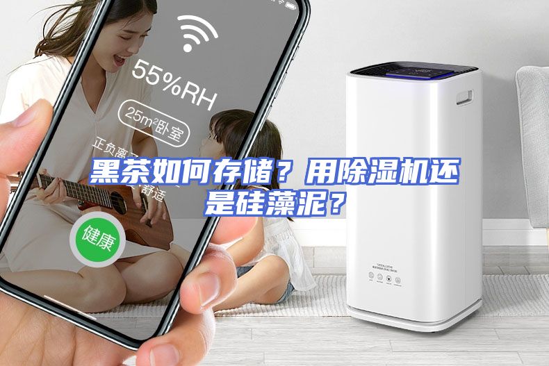 黑茶如何存储？用除湿机还是硅藻泥？