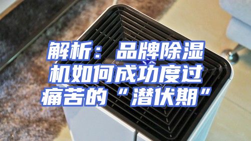 解析：品牌除湿机如何成功度过痛苦的“潜伏期”