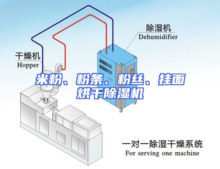 米粉、粉条、粉丝、挂面烘干除湿机