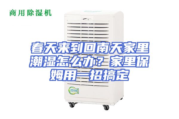 春天来到回南天家里潮湿怎么办？家里保姆用一招搞定