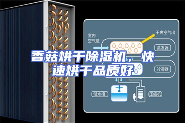 香菇烘干除湿机，快速烘干品质好