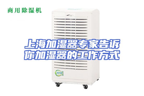 上海加湿器专家告诉你加湿器的工作方式