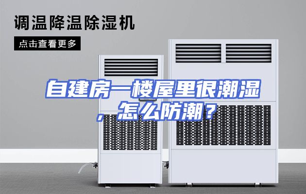 自建房一楼屋里很潮湿，怎么防潮？