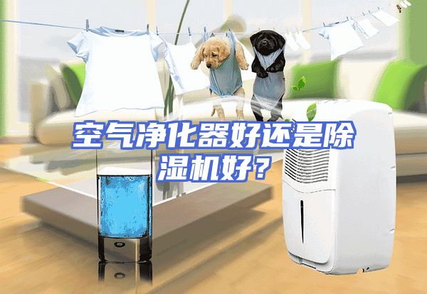 空气净化器好还是除湿机好？