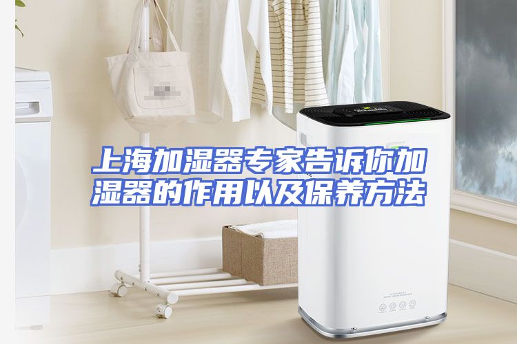 上海加湿器专家告诉你加湿器的作用以及保养方法