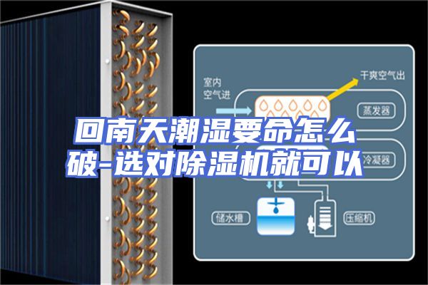 回南天潮湿要命怎么破-选对除湿机就可以