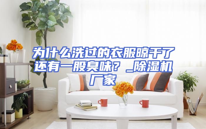 为什么洗过的衣服晾干了还有一股臭味？_除湿机厂家