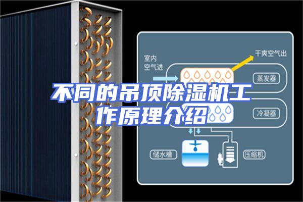 不同的吊顶除湿机工作原理介绍