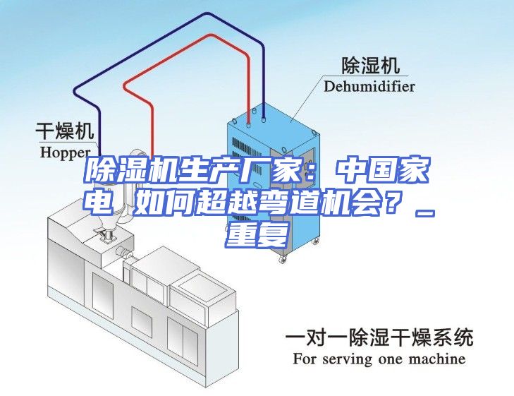 除湿机生产厂家：中国家电 如何超越弯道机会？_重复