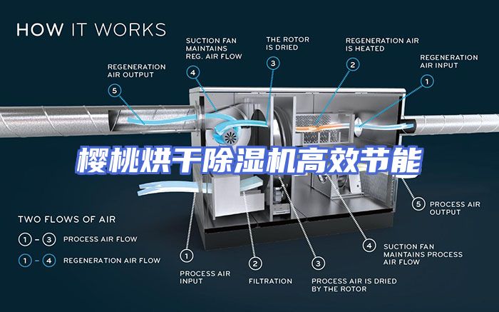 樱桃烘干除湿机高效节能