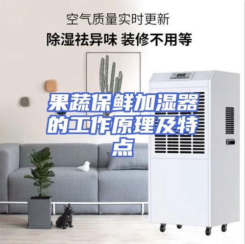 果蔬保鲜加湿器的工作原理及特点