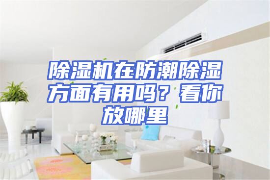 除湿机在防潮除湿方面有用吗？看你放哪里