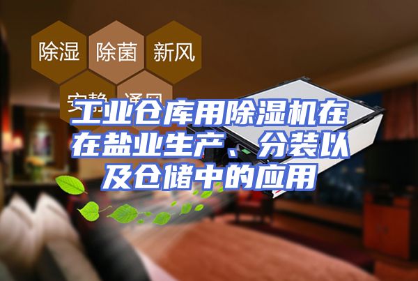 工业仓库用除湿机在在盐业生产、分装以及仓储中的应用