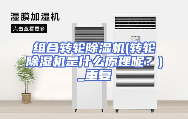 组合转轮除湿机(转轮除湿机是什么原理呢？)_重复