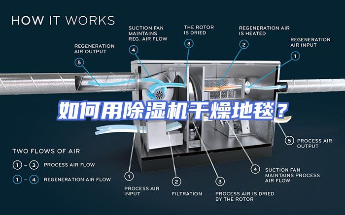 如何用除湿机干燥地毯？