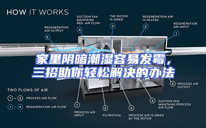 家里阴暗潮湿容易发霉，三招助你轻松解决的办法