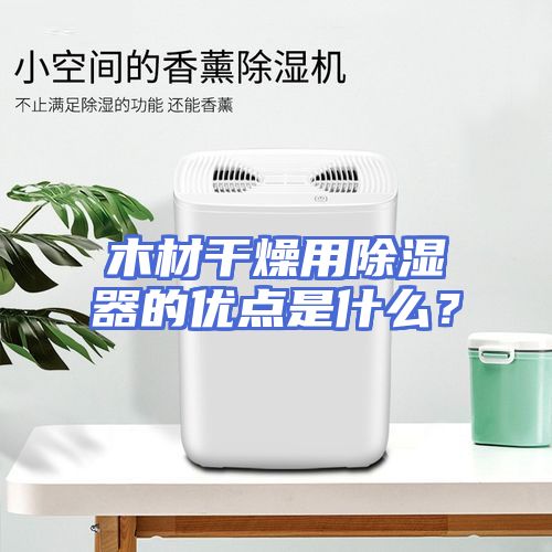 木材干燥用除湿器的优点是什么？