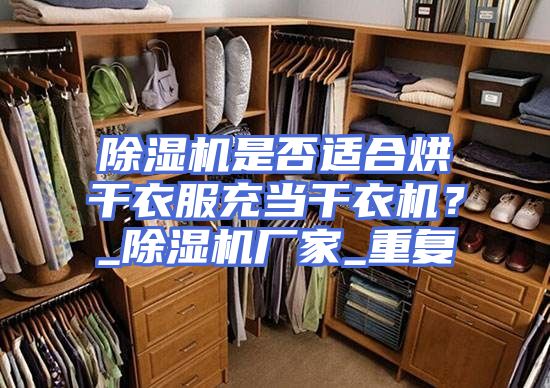 除湿机是否适合烘干衣服充当干衣机？_除湿机厂家_重复