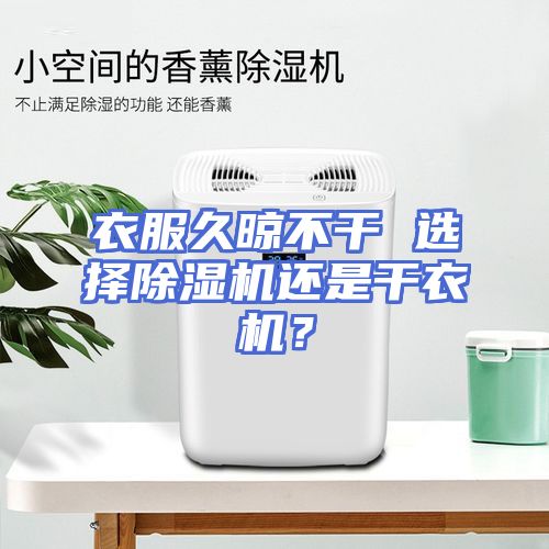 衣服久晾不干 选择除湿机还是干衣机？