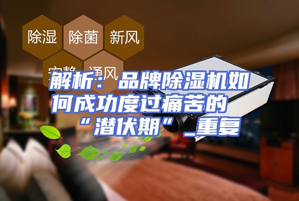 解析：品牌除湿机如何成功度过痛苦的“潜伏期”_重复