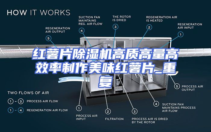 红薯片除湿机高质高量高效率制作美味红薯片_重复