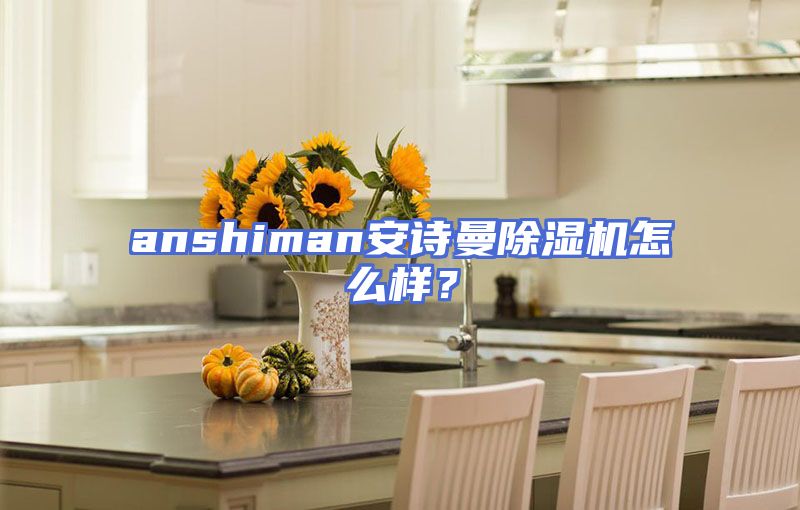 anshiman安诗曼除湿机怎么样？