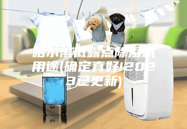 哈尔滨低露点除湿机用途(确定真好!2023已更新)