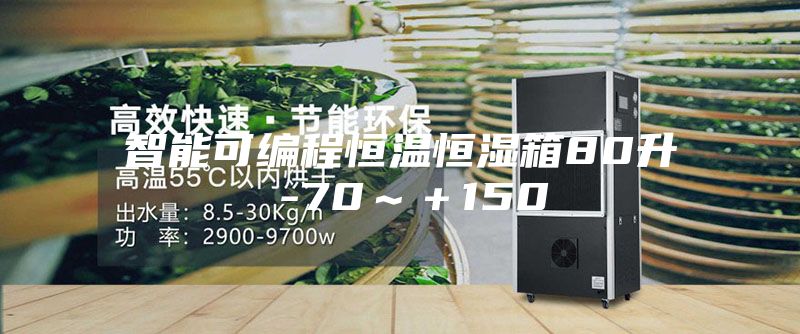 智能可编程恒温恒湿箱80升 -70～＋150℃