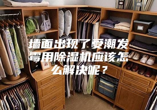 墙面出现了受潮发霉用除湿机应该怎么解决呢？