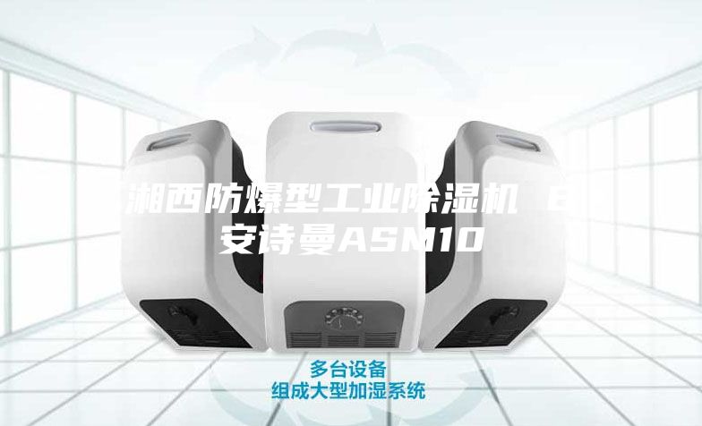 湘西防爆型工业除湿机 B安诗曼ASM10