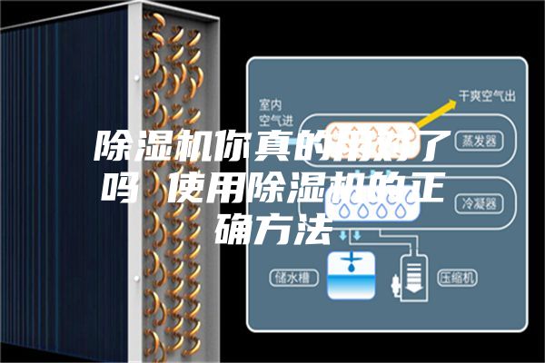 除湿机你真的用对了吗 使用除湿机的正确方法