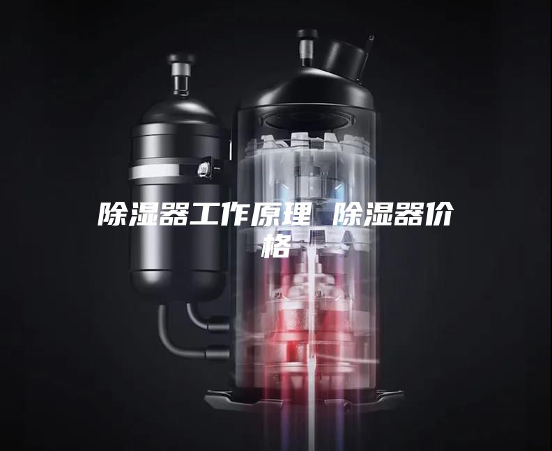 除湿器工作原理 除湿器价格