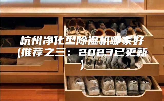 杭州净化型除湿机哪家好(推荐之三：2023已更新)